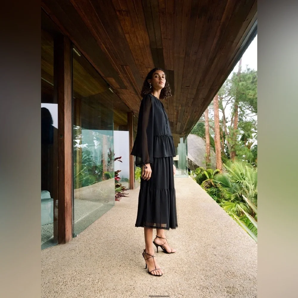 Aritzia Sheer Black Blouse - Picture 6 of 15